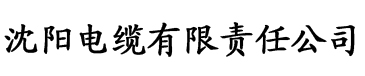 国厂精品114福利老汉电缆厂logo